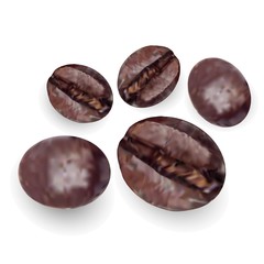 Coffee beans, roasted coffee beans. Vector realistic set isolated on white background.