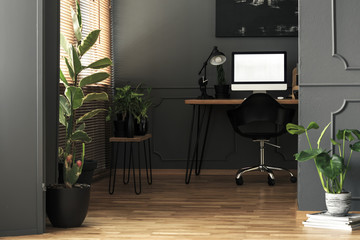 Mockup on computer desktop next to lamp in grey freelancer's room interior with plants. Real photo