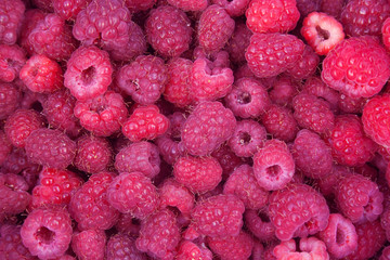 Heap of red raspberries