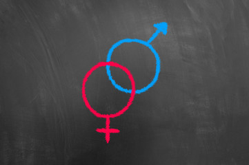 Fototapeta na wymiar Gender equality sex education chalk drawing on blackboard .