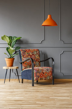 Plant on table next to patterned armchair under orange lamp in grey flat interior. Real photo