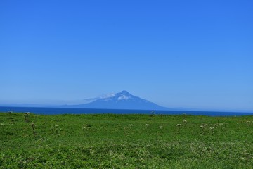 原野と利尻岳
