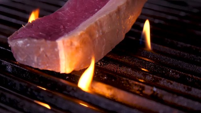 Grill