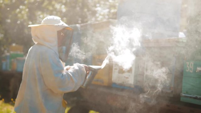 bee-maker beekeeper man working of a smoke pipe beeper smoker device for repelling lifestyle evil bees. slow motion video. apiary. beekeeping concept bee agriculture