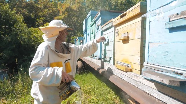 the beekeeper working in the apiary bees fly swarm multi colored beehive slow motion video. bee-maker beekeeper man working of a smoke pipe beeper wooden hives smoker lifestyle device for repelling