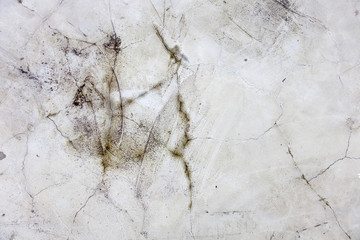 Moss on cracked concrete texture.