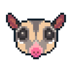 Obraz premium Pixel art sugar glider icon isolated on white background.