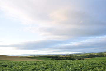 A cloudy sky and field of Furano
