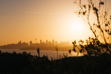Fototapeta na wymiar Sydney sunset