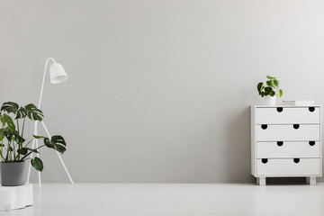 Empty gray bedroom interior with a modern dresser, an industrial floor lamp, a monstera plant and...
