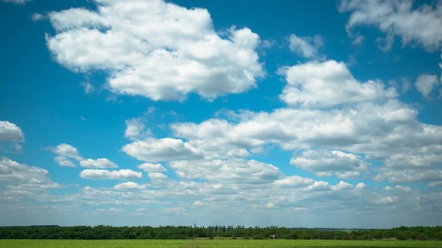 blue sky and summer green field landscape 