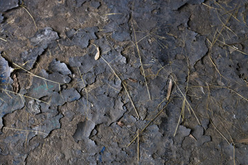 Burnt Papers On Soil