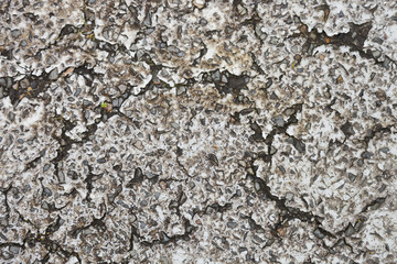 Cracking Paint on Asphalt