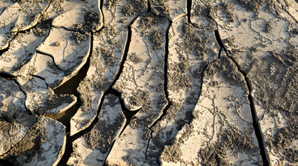 Closeup surface of cracked dry soil background.