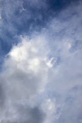 Fototapeta premium White Clouds Floating