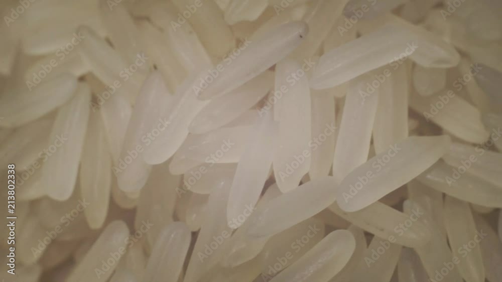 Aufkleber rice rotation 360 degrees, macro view