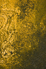 Golden Paint Splatted