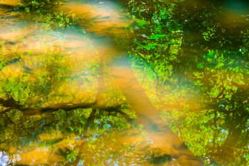 Fall Water Blur