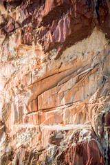 the marks of the axe on the tree