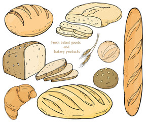 Set with bakery products on a white background. Baguette, loaves, rye bread, ciabatta and scones. Vector illustration in sketch style.