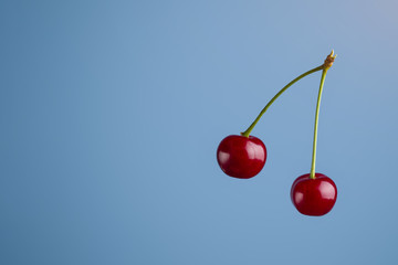 Red, ripe cherries on a blue background. Copy space
