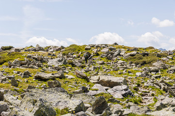 Silvaplana, Corvatsch, Furtschellas, Wanderweg, Oberengadin, Alpen, Graubünden, Sommer, Schweiz