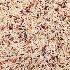 texture assorted rice close-up