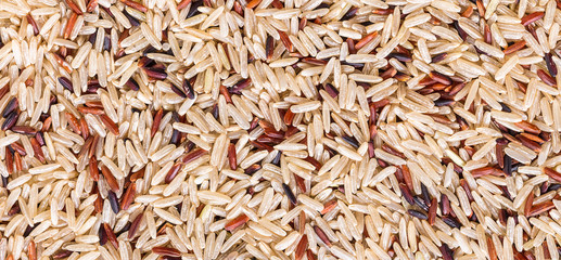 texture assorted rice close-up