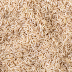 texture unpolished rice brown close-up