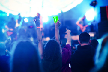 Fototapeta na wymiar crowd at concert - music festival