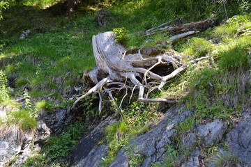 Eisriesenwelt Österreich