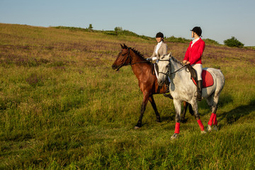 Two young women riding horse in park. Horse walk in summer