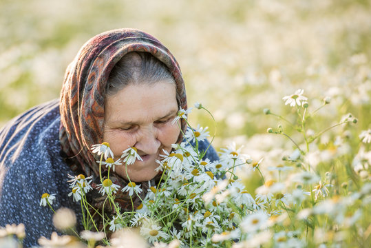 old lady in a field with daisies. Summer portrait.