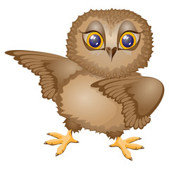 The owl bird dances, stands on the .Isolated icon. Character cartoon. Vector illustration.