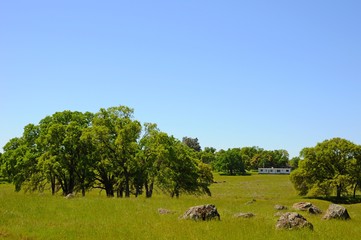 Beautiful Landscape of Trees, mountains, hills and grass field in California, United States