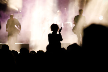 crowd at concert - music festival