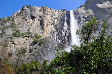 Famous waterfall with trees in Yosemite National Park, California, United States
