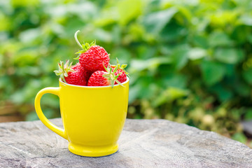 Yellow mug with ripe strawberry berries