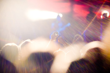 crowd at concert - music festival