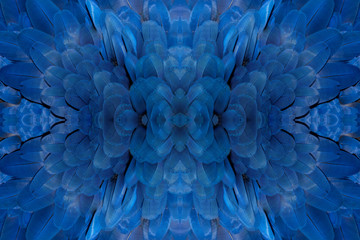 Seamless pattern made of Hyacinthine macaw feathers wallpaper