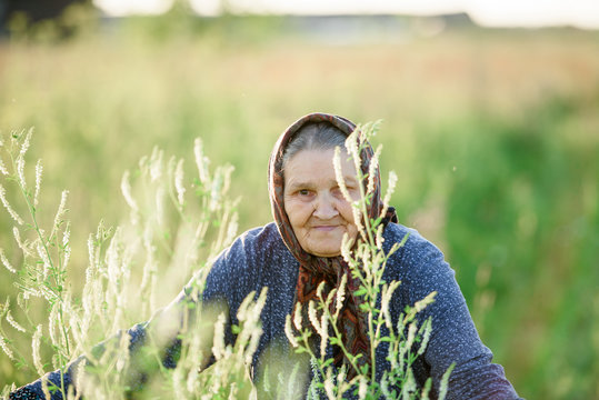 Close-up of a grandmother in golden herbs for a walk in the field.