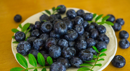 A garden blueberry poured in a saucer on a table