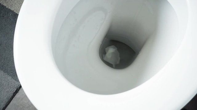 Detail of toilet flushing