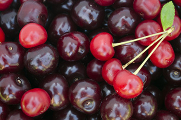 Background of fresh ripe red cherries.
