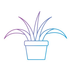 house plant in pot vector illustration design