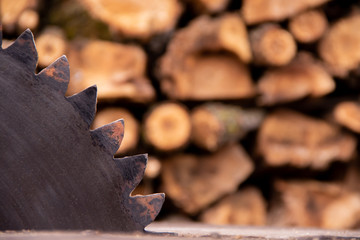 Close-up circular saw and firewood on background