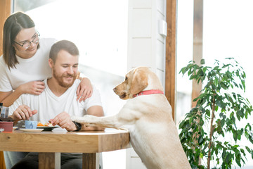 Young couple having a breafast with their dog jumping on the table in the country house