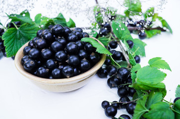Berries of a tasty, large black currant on a table in a small plate