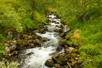 Close-up lovely creek in spring time in Norway