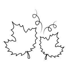 grape leafs isolated icon vector illustration design